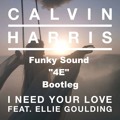 Calvin Harris feat. Ellie Goulding - I Need Your Love (Funky Sound 