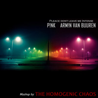 Please don´t leave me Intense (Mashup by THE HOMOGENIC CHAOS)