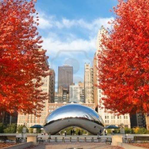 Chicago in the Fall 