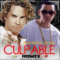 David Bisbal Ft J. Alvarez - Culpable (Dj Salva Garcia 2015 Edit)