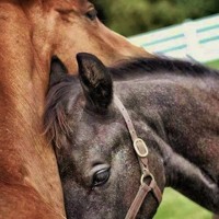 Lina Nawas S Stream On Soundcloud Hear The World S Sounds هدف الإنتاج جاء في الدقيقة 61، من تسديدة بعيدة المدى ليست بالقوية، لكن شريف إكرامي حارس مرمى بيراميدز فشل بشكل غريب في. soundcloud